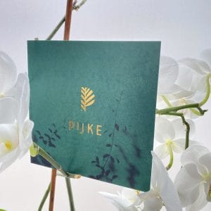 Voorzijde van geboortekaartje Pijke. De naam Pijke en boompje erboven staan in goudfolie